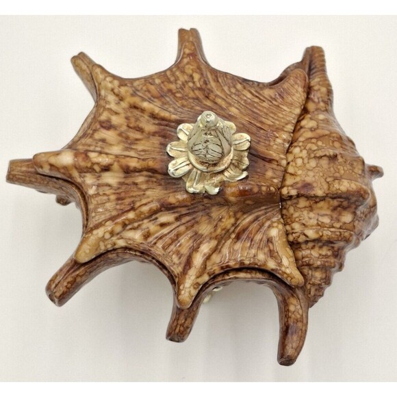 Shell Decorative Beach Decor Conch Trinket Box with Lid  Jewelry Key Dish Resin - Picture 7 of 16
